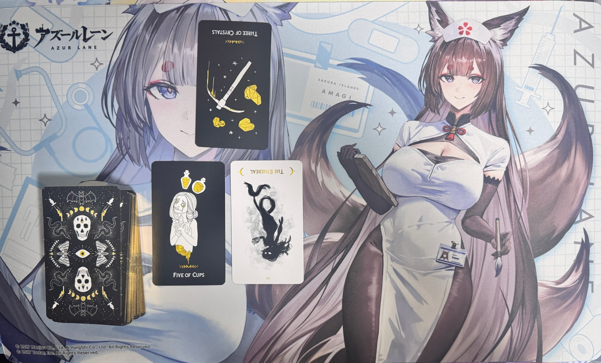 Bark growing on concrete